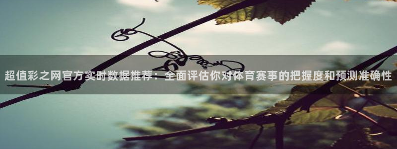 壹号国际app免费下载安装：超值彩之网官方实时数据推荐：全面评估你对体育赛事的把握度和预测准确性