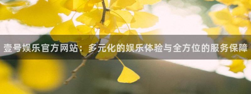 壹号电子娱乐app：壹号娱乐官方网站：多元化的娱乐体验与全方位的服务保障