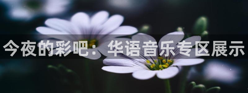 果博东方福布斯：今夜的彩吧：华语音乐专区展示